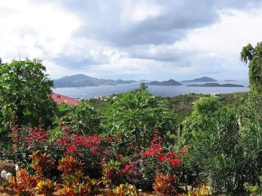Cielo Vista Villa 3 Bdrm Sleeps 6 Heavenly View Cruz Bay Exterior foto